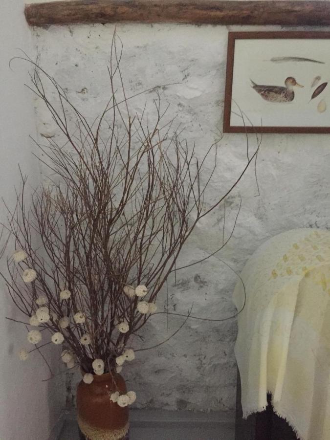 Dimitri Ada Evi & Restaurant Otel İmroz Dış mekan fotoğraf